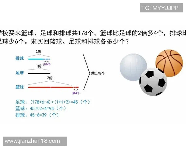 武汉排球队运营揭秘：深度解析排球背后的管理与发展策略
