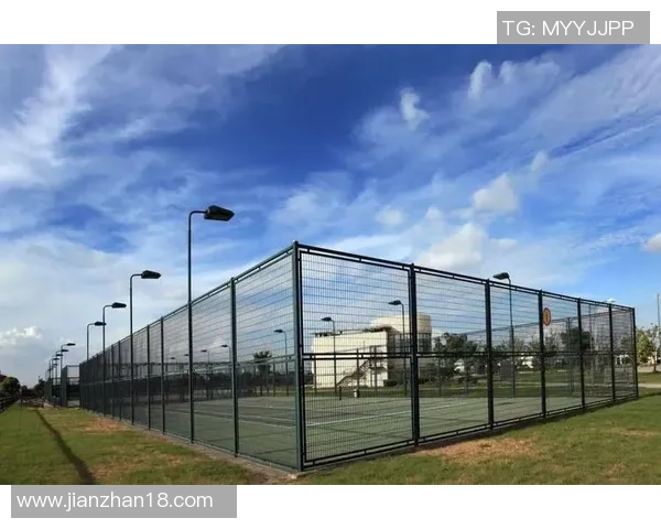 足球拉丁风潮席卷全球球迷热情与文化交融的奇妙旅程