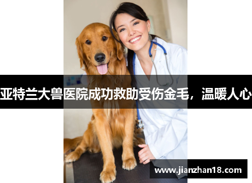 亚特兰大兽医院成功救助受伤金毛，温暖人心