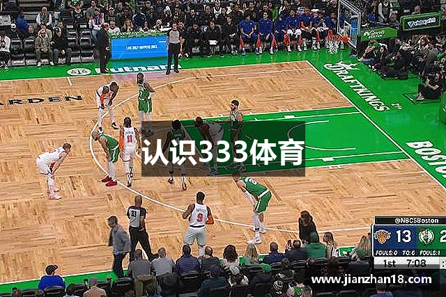 认识333体育